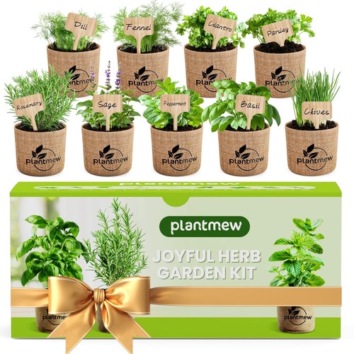 Indoor herb garden kit - indoor,