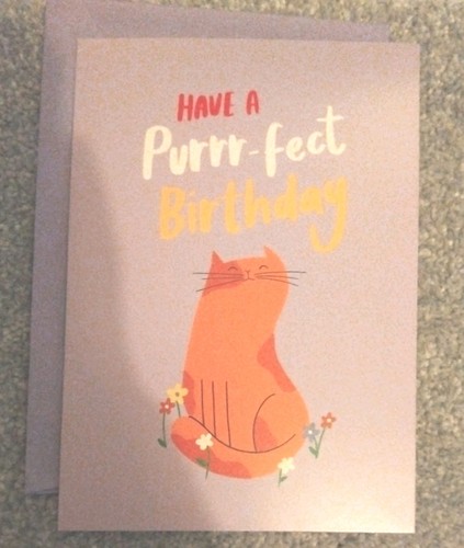 Cat birthday card cute - cat,