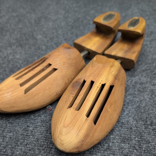 Allen edmonds shoe trees - shoe,