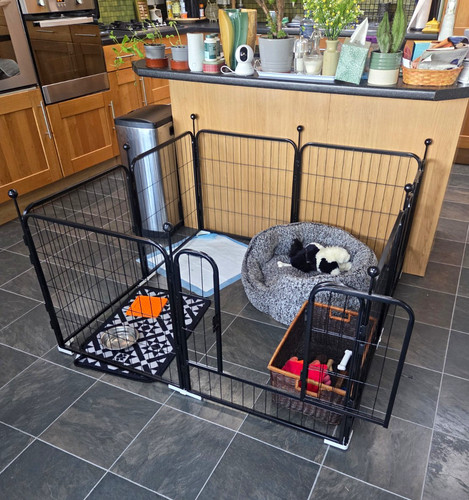 Houshery metal indoor dog - indoor,