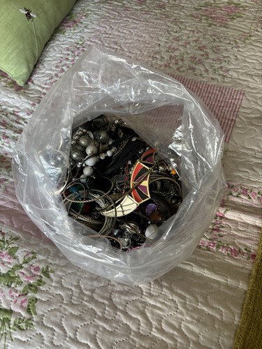 Full bag costume - bag, jewelry