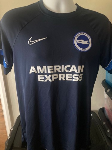 Brighton and hove albion - brighton,