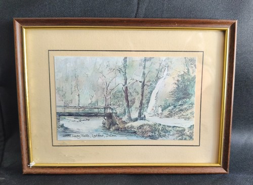 David skipp framed watercolor - david,