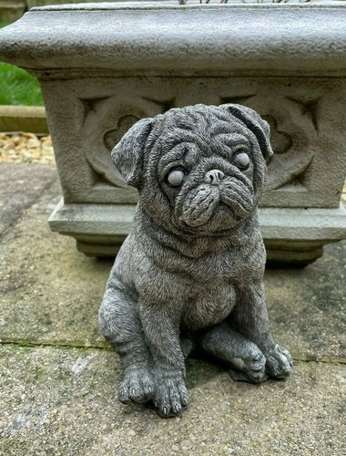 Sitting pug stone statue - stone,