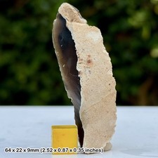 Rare Neolithic Scraper