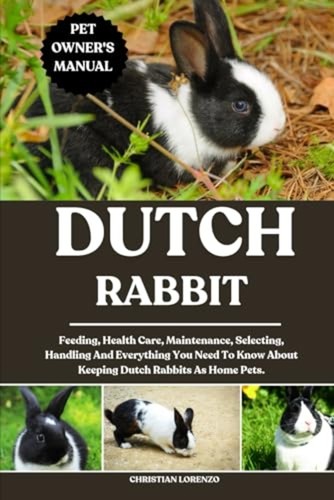 Dutch rabbit feeding health - rabbit, feeding,