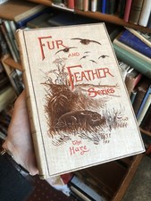 THE HARE Shooting, Coursing