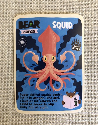Bear brand new animals - bear,