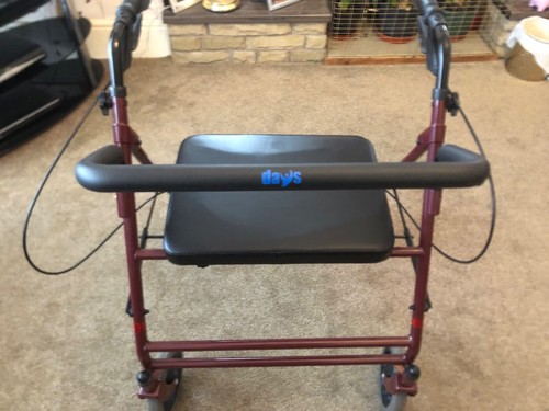 Bariatric mobility walker with