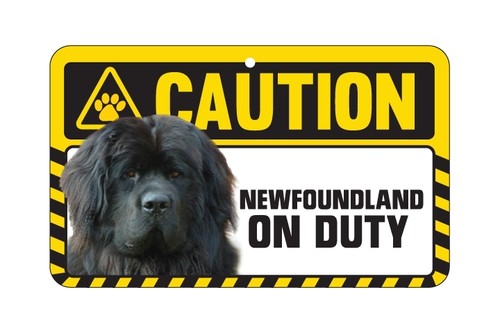 Dog sign caution beware - caution,