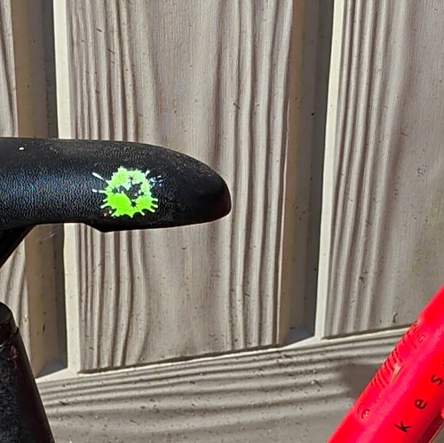 Frog bikes unisex kids - frog,