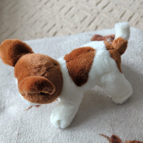 Keel signature cuddle puppy - keel,