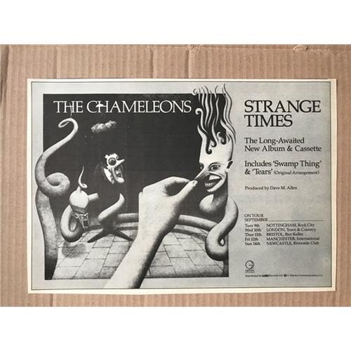 Chameleons strange times - chameleons,