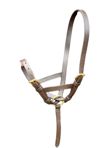 Leather foal slip - slip, headcollar