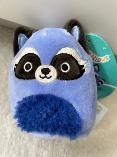 Squishmallows raccoon clip - raccoon, on