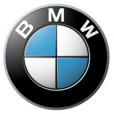 Genuine BMW Lambda Monitor