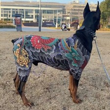 Four Seasons Doberman Pinscher