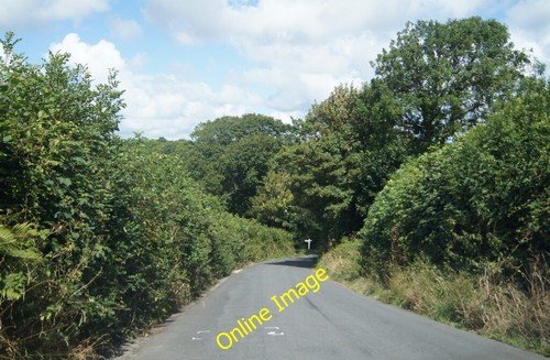 Photo 6x4 lane - photo,