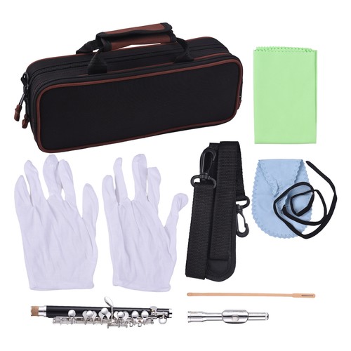 Piccolo instrument abs - instrument, tubing