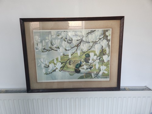 Tunnicliffe signed print - tunnicliffe,