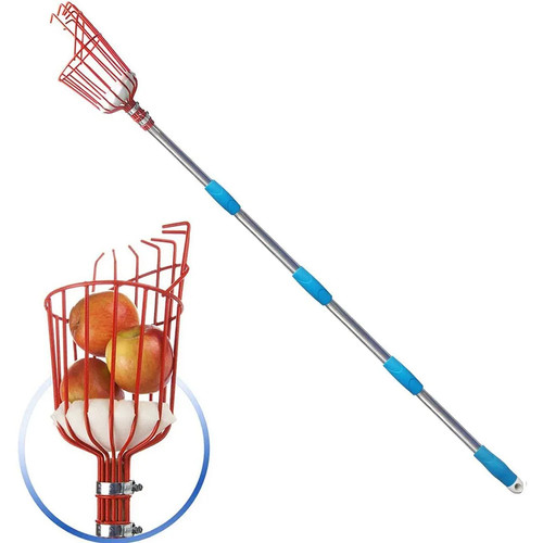 Apple picker with - apple, telescopic