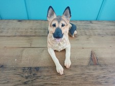 Border Fine Arts Dogs & Pups