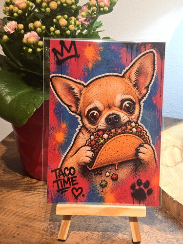 Chihuahua taco street - chihuahua, 6"