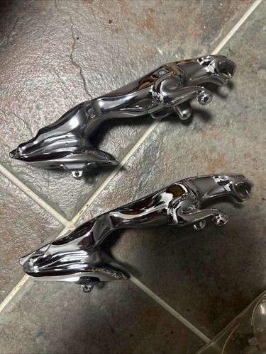 Pair jaguar car - car, hood