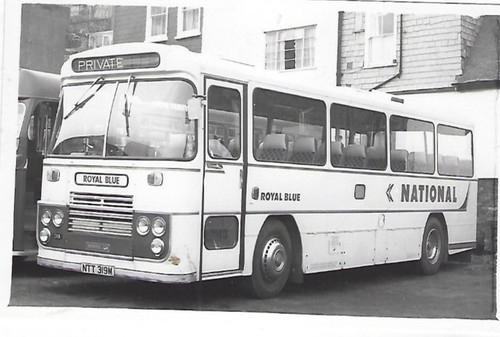 Bus photo ntt319m royal blue - ntt319m,