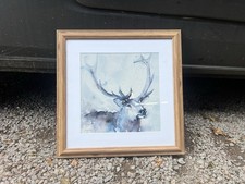 Stag Print Framed Picture