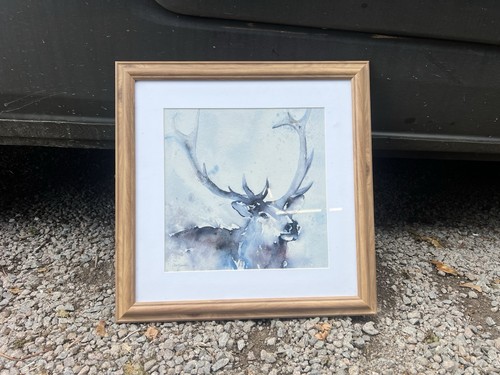 Stag print framed - print, picture