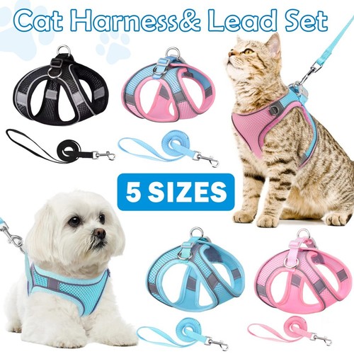 Pet cat harness vest - pet, walking