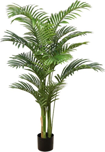 Artificial plants areca - plants, –