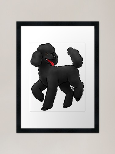 Dog standard poodle lamb - dog,