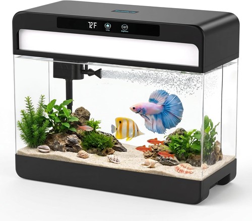 Fish tank starter - 3, gallon
