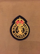 civil defence corps insgina