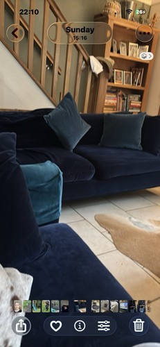 Set royal blue velvet sofa - of,