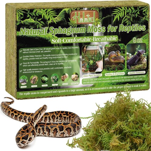 256g sphagnum moss for - moss,