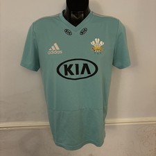 Surrey Cricket Adidas Training