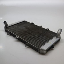 2016 Kawasaki Ninja 1000 Radiator - 39060-0081