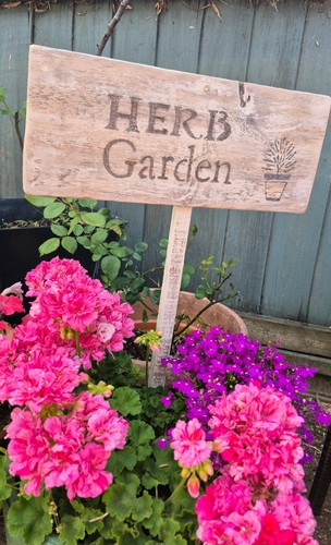 Wooden herb garden sign - herb, with