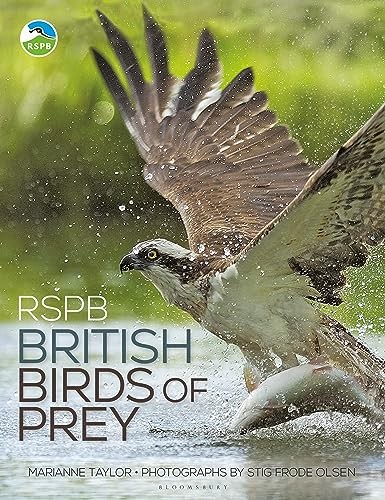 Rspb british birds prey by - rspb, of