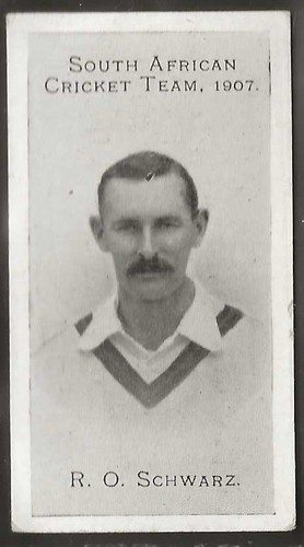 Taddy south african cricket - taddy-south,
