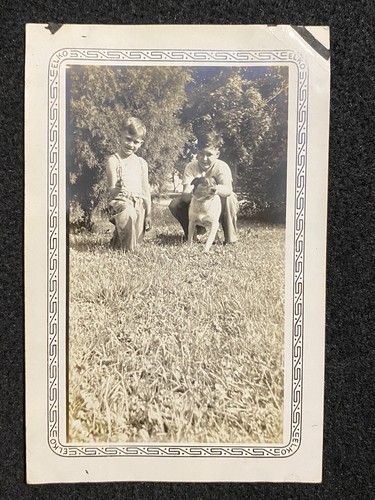Boys playing with dog - dog, toy