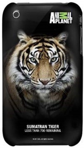 Iphone 3gs sumatran tiger - sumatran,