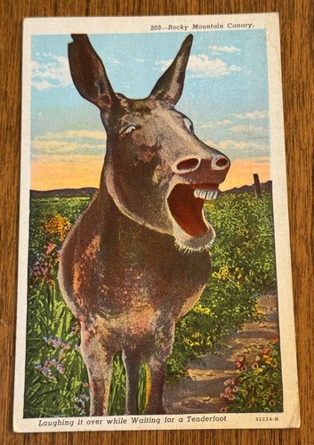 Vintage funny used white - used,