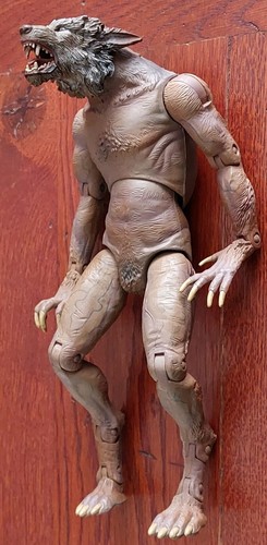 Doctor who werewolf - doctor,
