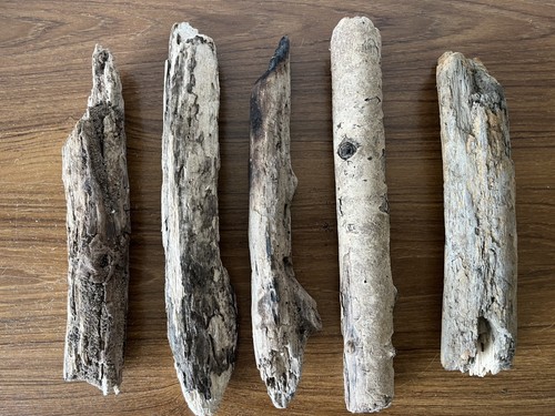 Driftwood branch pieces - 5,