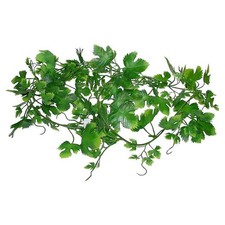 Lucky Reptile Grape Leaf Vine approx. 200 cm