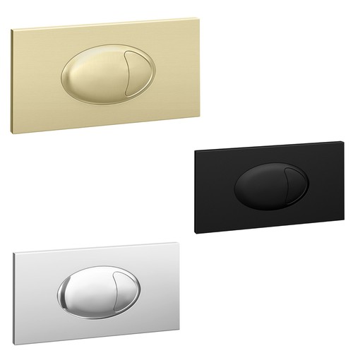 Dual flush plate push button - dual,